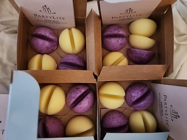 PARTYLITE 4 BXS 16 SCENT PLUS MELTS ROUND AROMA WAX FRAGRANCE MELT HOCUS POCUS