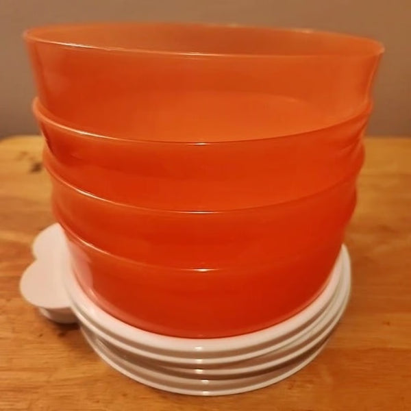 TUPPERWARE 2-C BIG WONDERS BOWL 4 RUBINE BOWLS w/ SNOW WHITE TABBED SEALS - Plastic Glass and Wax ~ PGW