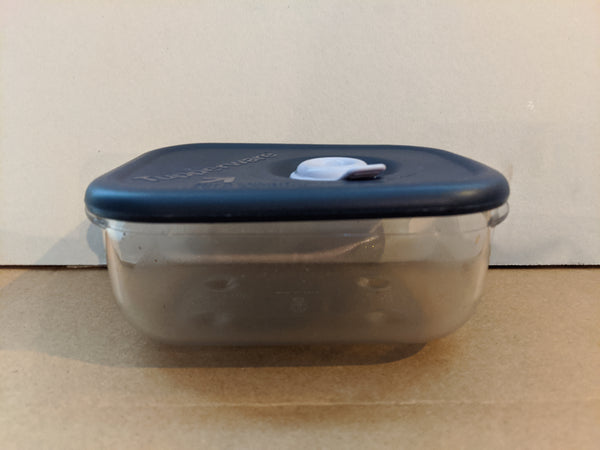 Tupperware Vent N Serve VNS TWO - 2 MICROWAVE 1-CUP SMALL RECTANGLE Parrot Teal