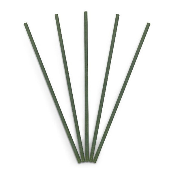 PartyLite SMARTSCENTS FRAGRANCE POTPOURRI SCENTED STICKS 5 / PACKAGE EMERALD BALSAM