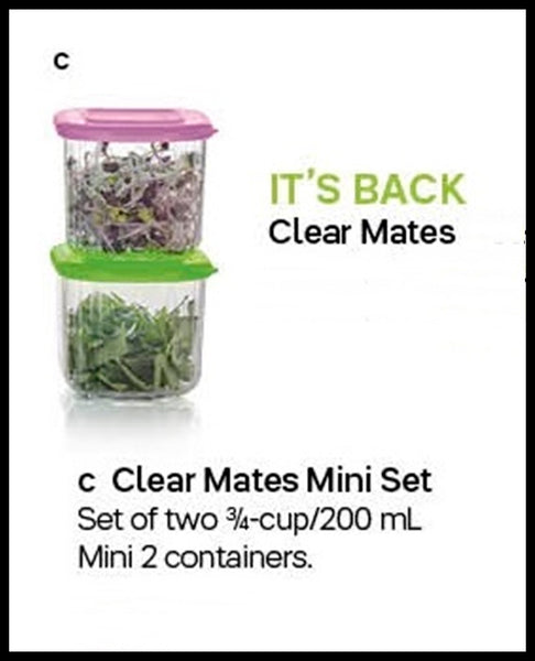 Tupperware CLEARLY ELEGANT 2 CLEAR MATES MINI 2 SQUARE CONTAINERS PURPLE KIWI