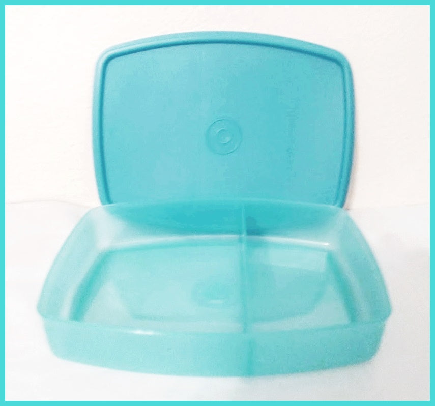 Produktionscenter radioaktivitet Nord TUPPERWARE SIDE BY SIDE LUNCH-IT DIVIDED DISH / CONTAINER AQUAMARINE B –  Plastic Glass and Wax ~ PGW