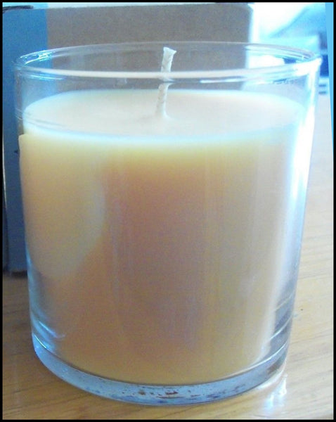 PartyLite ORIGINAL ESCENTIAL Round Wax Filled Jar Candle SELECT FAVORITE SCENT