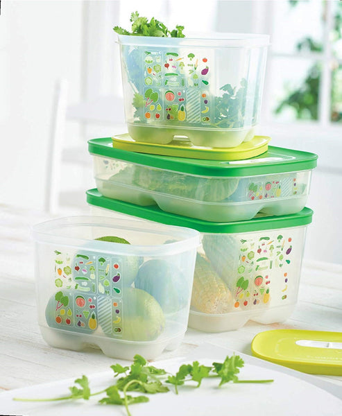 TUPPERWARE FridgeSmart Set of 4 Storage Containers Keepers Medium Deep, Medium & Small Deep