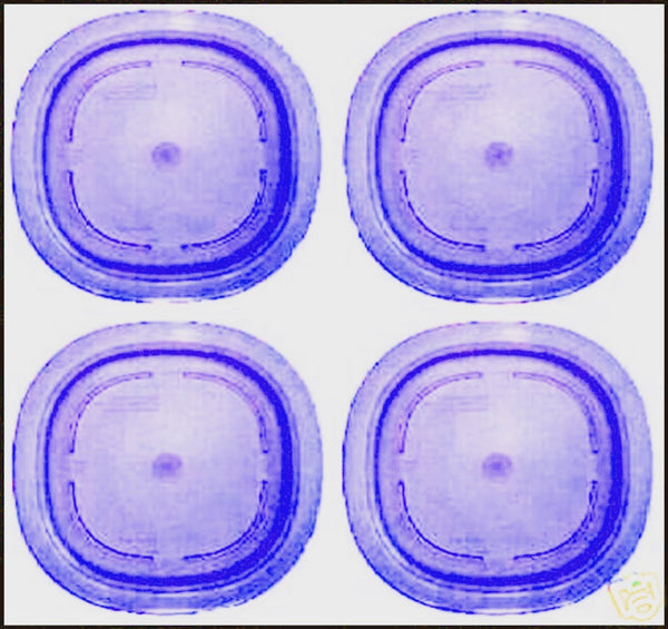 Tupperware Impressions 7.75" Microwave ACRYLIC Dessert Plates 4 SAPPHIRE PURPLE - Plastic Glass and Wax
