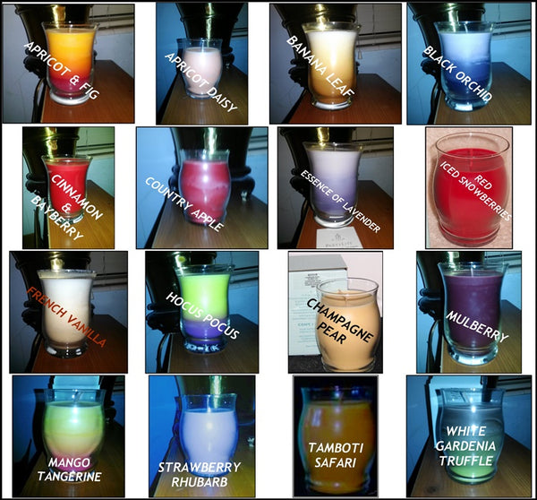 PartyLite BESTBURN LARGE BARREL Glass Jar Candle TAMBOTI SAFARI RARE - Plastic Glass and Wax