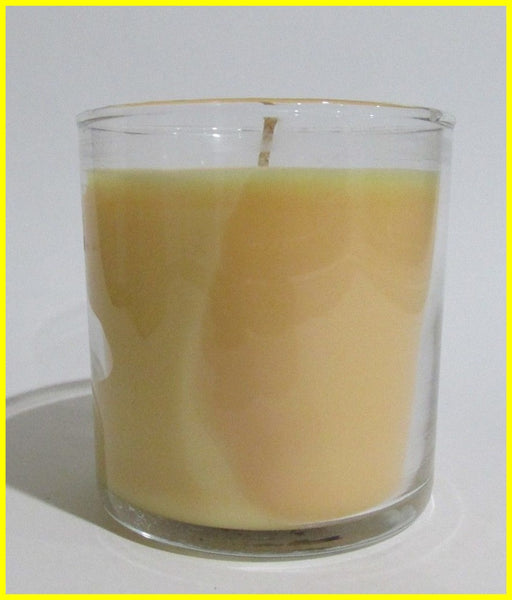 PartyLite ORIGINAL ESCENTIAL Round Wax Filled Jar Candle RARE CITRUS PEEL & SAGE