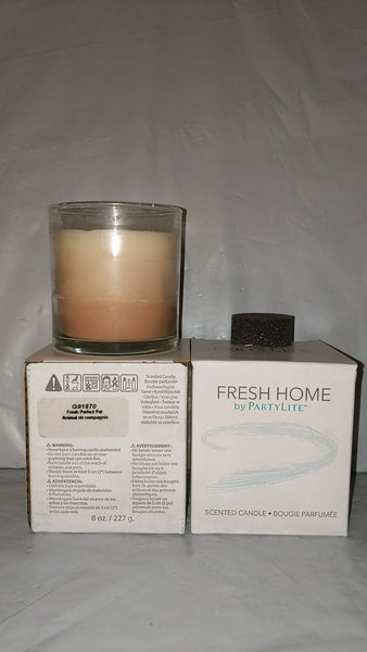 PartyLite TWO (2) FRESH HOME PERFECT PET BESTBURN LAYERED GLASS JAR CANDLE
