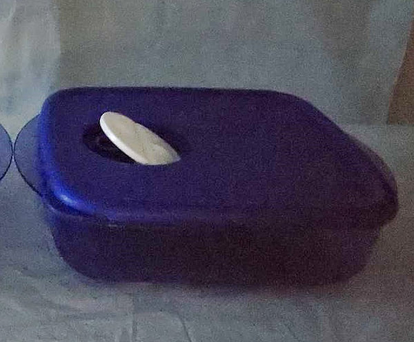 TUPPERWARE Rock N Serve Microwave RNS Medium Shallow Rectangle Container 2.5-c BLUE / WHITE VENT - Plastic Glass and Wax ~ PGW