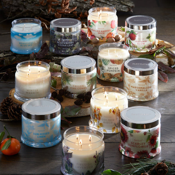 PartyLite 3-Wick Signature Round Jar Boxed Candle w/ Metal Lid ICED SNOWBERRIES - Plastic Glass and Wax