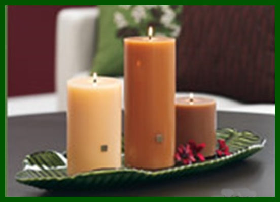 PartyLite BANANA LEAF GREEN GLASS TRAY LONG CANDLE HOLDER FOOD SAFE PLATTER NIB - Plastic Glass and Wax ~ PGW