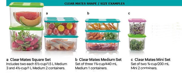 Tupperware SET of 2 - 200 mL / 3/4 c Sheer Clear Mates Square Mini Clear GRAPE FIZZ Seal - Plastic Glass and Wax ~ PGW