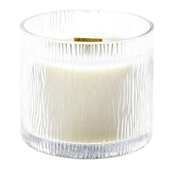 PartyLite Nature's Light Large Round Jar Boxed Candle w/ Crackling Wooden Wick EVERGREEN FIR