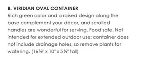 SOUTHERN LIVING at HOME VIRIDIAN SAGE OVAL SERVING CONTAINER / PLATTER