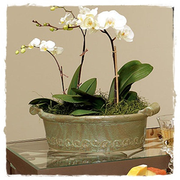 SOUTHERN LIVING at HOME VIRIDIAN SAGE OVAL SERVING CONTAINER / PLATTER