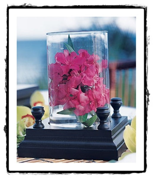 SOUTHERN LIVING AT HOME WILLOW HOUSE 2-Piece YORKSHIRE HURRICANE NEW