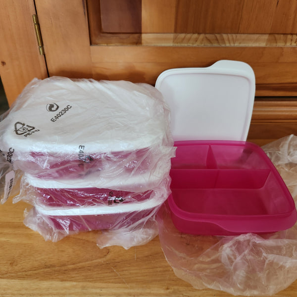 TUPPERWARE 4 SQUARE LUNCH-IT DIVIDED DISH / CONTAINERS / WATERMELON KEEPERS w/ SNOW WHITE SEAL (Copy)