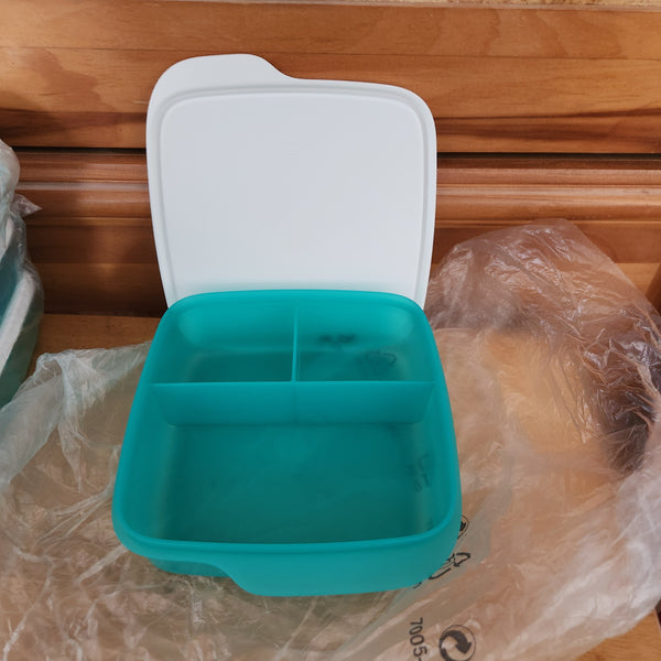 TUPPERWARE 4 SQUARE LUNCH-IT DIVIDED DISH / CONTAINERS / WATERMELON KEEPERS w/ SNOW WHITE SEAL (Copy)
