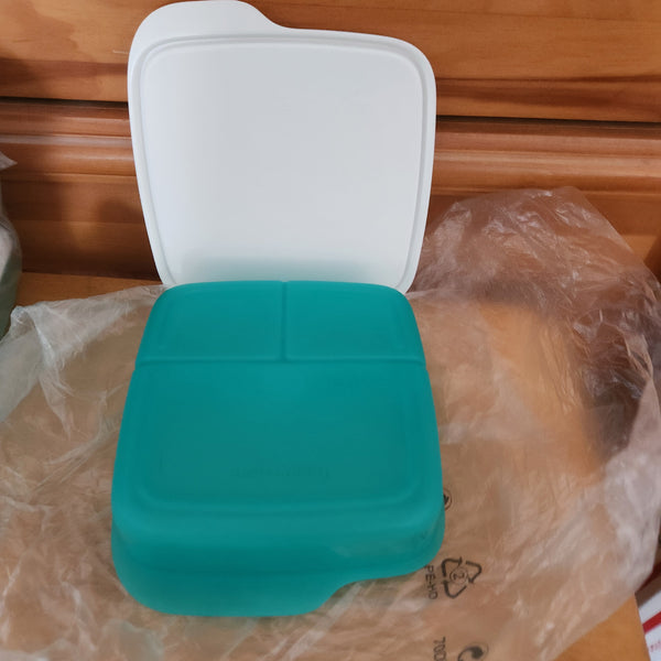 TUPPERWARE 4 SQUARE LUNCH-IT DIVIDED DISH / CONTAINERS / WATERMELON KEEPERS w/ SNOW WHITE SEAL (Copy)