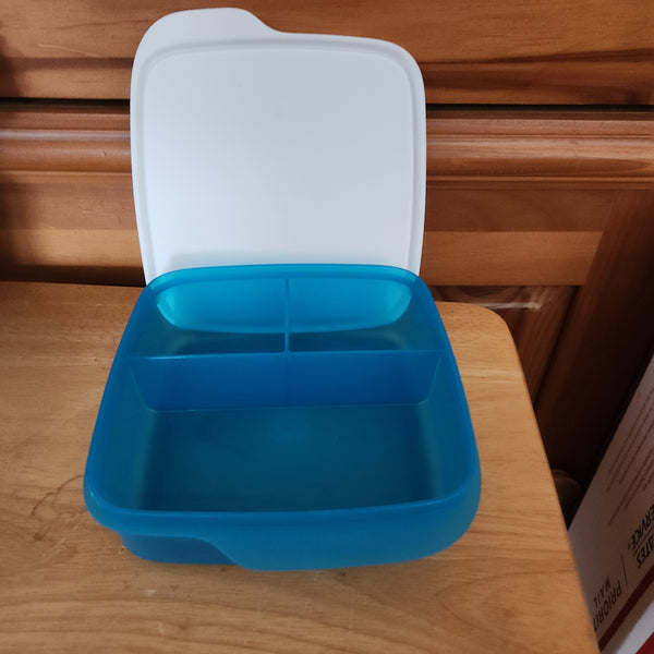 TUPPERWARE 4 SQUARE LUNCH-IT DIVIDED DISH / CONTAINERS / WATERMELON KEEPERS w/ SNOW WHITE SEAL (Copy)
