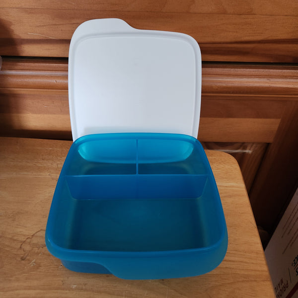 TUPPERWARE 4 SQUARE LUNCH-IT DIVIDED DISH / CONTAINERS / WATERMELON KEEPERS w/ SNOW WHITE SEAL (Copy)