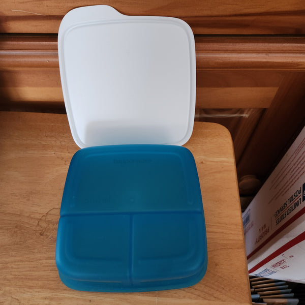 TUPPERWARE 4 SQUARE LUNCH-IT DIVIDED DISH / CONTAINERS / WATERMELON KEEPERS w/ SNOW WHITE SEAL (Copy)