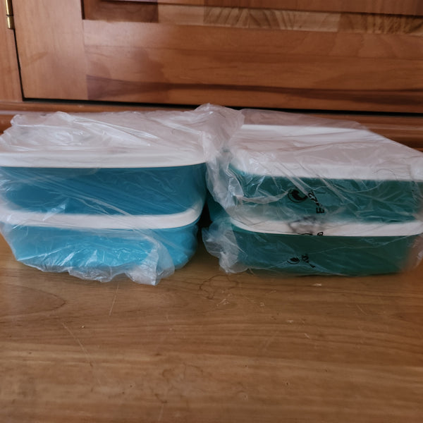TUPPERWARE 4 SQUARE LUNCH-IT DIVIDED DISH / CONTAINERS / WATERMELON KEEPERS w/ SNOW WHITE SEAL (Copy)