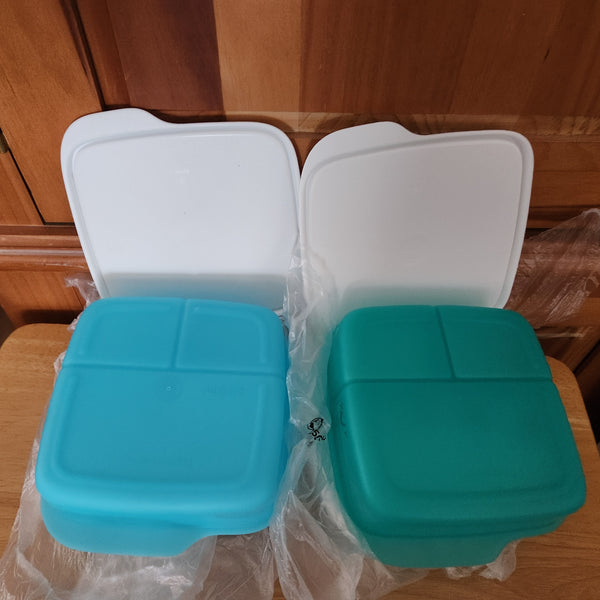 TUPPERWARE 4 SQUARE LUNCH-IT DIVIDED DISH / CONTAINERS / WATERMELON KEEPERS w/ SNOW WHITE SEAL (Copy)