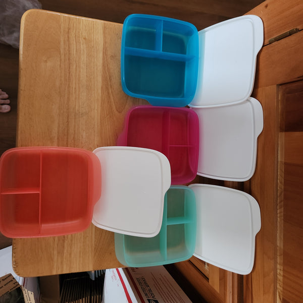 TUPPERWARE 4 SQUARE LUNCH-IT DIVIDED DISH / CONTAINERS / WATERMELON KEEPERS w/ SNOW WHITE SEAL (Copy)