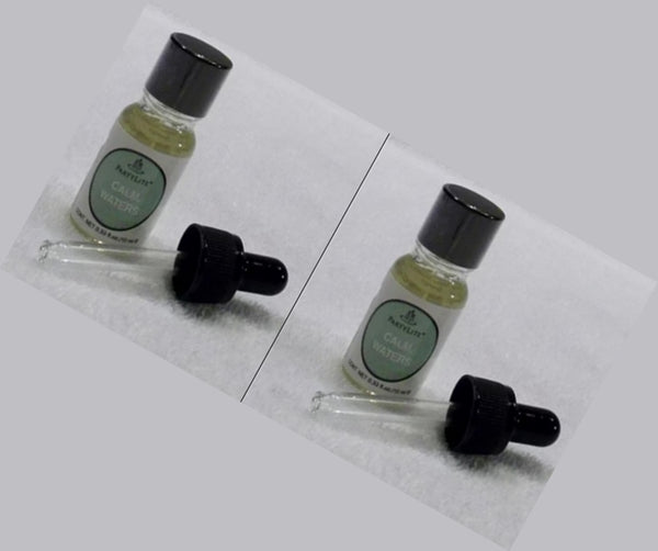 PartyLite 2 BOTTLES / BOXES .33-OZ / 10mL FRAGRANCE SCENTED OIL CINNAMON & BAYBERRY