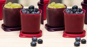 TUPPERWARE 4-Pc RED & PURPLE MINI 110mL Square Round CUBIX Storage Containers Keepers w/ Seals