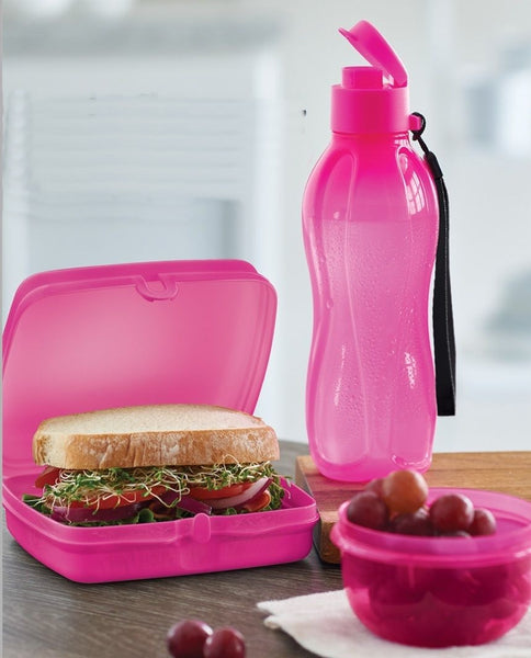 TUPPERWARE On-the Go LUNCH SQUARE Eco Bottle Mini Bowl Set FUCHSIA KISS PINK