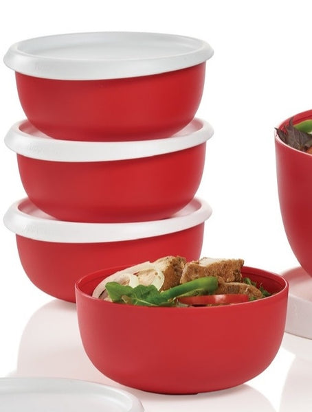 TUPPERWARE 5 Pc ESSENTIALS / BLOSSOM COLLECTION SALAD BOWL SET RED & WHITE