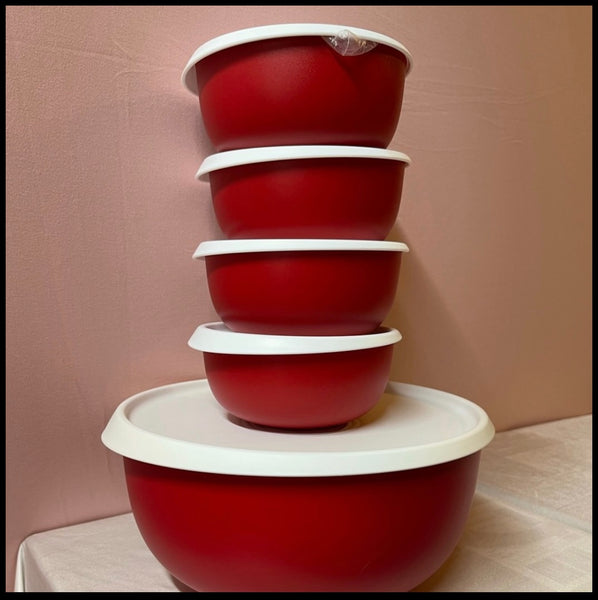 TUPPERWARE 5 Pc ESSENTIALS / BLOSSOM COLLECTION SALAD BOWL SET RED & WHITE