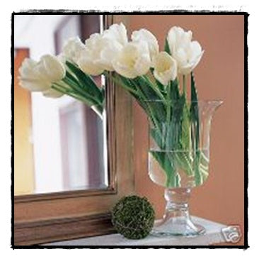 SOUTHERN LIVING AT HOME WILLOW HOUSE HEMINGWAY HURRICANE EXCELLENT Pre-Owned