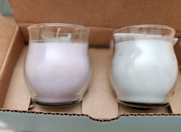 PartyLite BESTBURN BOX SET OF 2 MINI BARREL Jar Candles TWO SUGAR PLUM FAIRIES