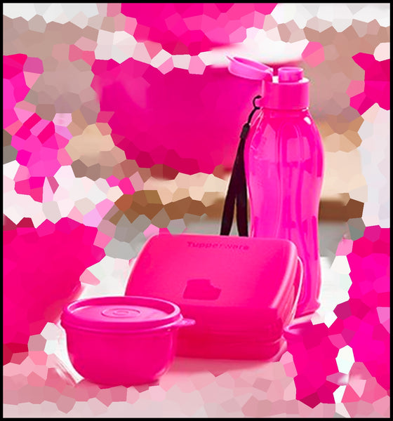 TUPPERWARE On-the Go LUNCH SQUARE Eco Bottle Mini Bowl Set FUCHSIA KISS PINK