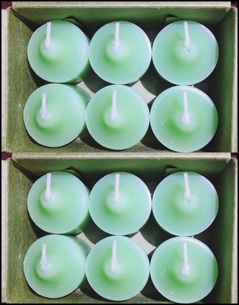 PartyLite 1 DOZEN Votive Wax Candles - 2 BOXES = 12 VOTIVES ~ SEA BREEZE & OLIVE - Plastic Glass and Wax ~ PGW