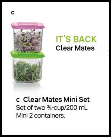 Tupperware CLEARLY ELEGANT 2 CLEAR MATES MINI 2 SQUARE CONTAINERS PINK KIWI