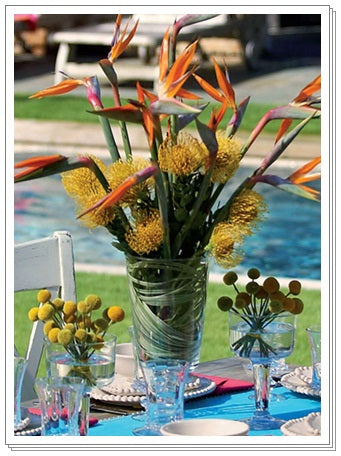 SOUTHERN LIVING AT HOME WILLOW HOUSE HAWTHORN HURRICANE EXCELLENT Pre-Owned - Plastic Glass and Wax ~ PGW