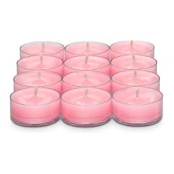 PartyLite Tealight Candles - 1 Box - 1 Dozen Tealights - 12 CANDLES PEPPERMINT SNOW