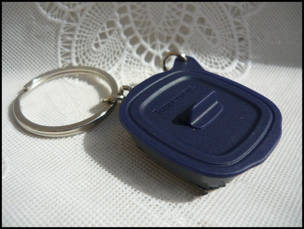 TUPPERWARE Mini RARE MICROPRO GRILLE KeyChain w/ BLUE & COSMOS GRAY NEW