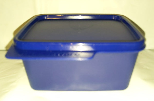 TUPPERWARE 1 SMALL 2-cup KEEP TABS STORAGE KEEPER CONTAINER MIDNIGHT BLUE