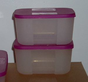 TUPPERWARE FREEZER MATES 2-pc SMALL 2 3/4- c STORAGE SET 2 DEEP PURPLICIOUS - Plastic Glass and Wax