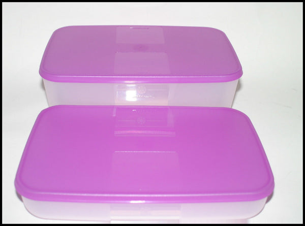 TUPPERWARE FREEZER MATES 2-pc MEDIUM STORAGE SET 1 SHALLOW 1 DEEP PURPLICIOUS - Plastic Glass and Wax
