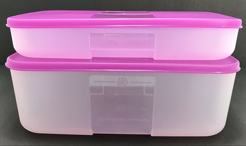 TUPPERWARE FREEZER MATES 2-pc MEDIUM STORAGE SET 1 SHALLOW 1 DEEP PURPLICIOUS - Plastic Glass and Wax
