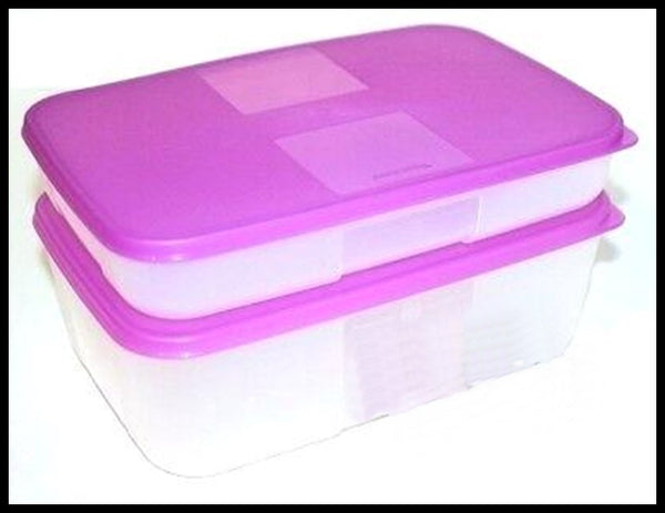 TUPPERWARE FREEZER MATES 2-pc MEDIUM STORAGE SET 1 SHALLOW 1 DEEP PURPLICIOUS - Plastic Glass and Wax
