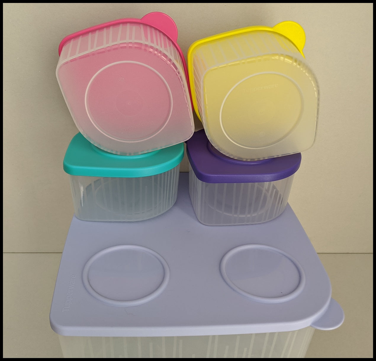 Tupperware 5-piece Freezer Safe Storage Set 