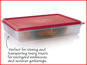 TUPPERWARE Prep Essentials LARGE Rectangle SNACK-STOR Cold Cut Keeper –  Plastic Glass and Wax ~ PGW