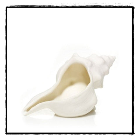 YANKEE NATURAL SHELL COLLECTION ONE (1) SEASHELL GLAZED CERAMIC TEALIGHT CANDLE HOLDER - Plastic Glass and Wax ~ PGW